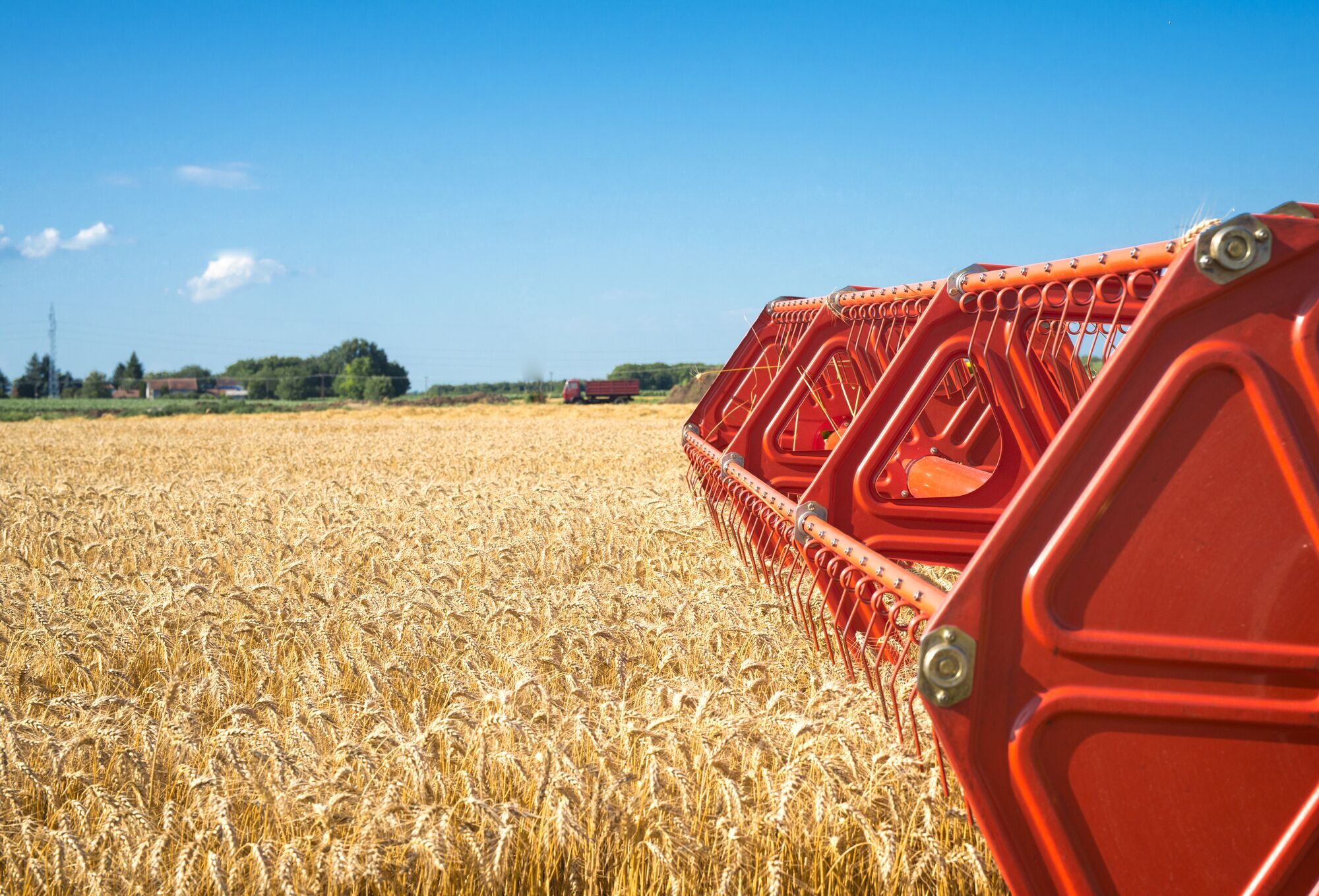 combine-harvesting-wheat-field